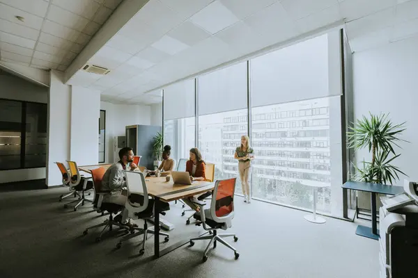 Modern Ofiste Çalışan Çok Irklı Bir Grup — Stok fotoğraf