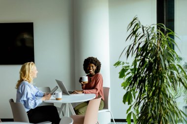 İki meslektaş, güneşli ve modern bir ofis ortamında kahve içerek keyifli bir sohbet ediyorlar..