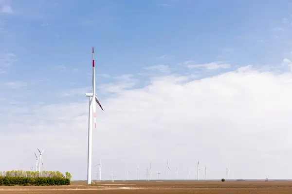 Turbin Angin Berdiri Tegak Terhadap Cakrawala Yang Luas Dengan Pohon — Stok Foto
