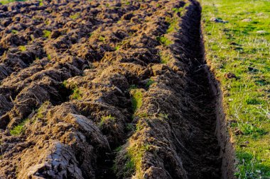Yeni sürülmüş toprağa yakın çekim, yükseltilmiş toprak, batan güneşin sıcacık parıltısıyla aydınlanıyor.