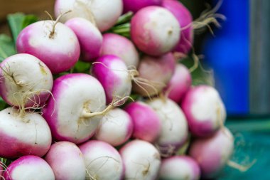 Pembe ve beyaz turp yığını bir pazar masasında dinleniyor. Güneş doğarken ve gün doğarken müşterilerin dikkatini çekiyor.