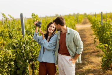 Sıcak öğleden sonra güneşinin altında, bir üzüm bağında birkaç gezinti. Huzurlu bir manzarada toplanan üzümlere hayran oldukları bir anı neşeyle paylaşıyorlar.