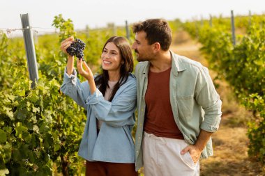 Sıcak öğleden sonra güneşinin altında, bir üzüm bağında birkaç gezinti. Huzurlu bir manzarada toplanan üzümlere hayran oldukları bir anı neşeyle paylaşıyorlar.