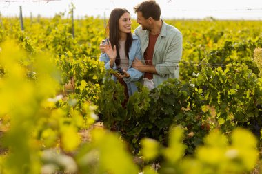 Sıcak öğleden sonra güneşinin altında, bir üzüm bağında birkaç gezinti. Huzurlu bir manzarada toplanan üzümlere hayran oldukları bir anı neşeyle paylaşıyorlar.
