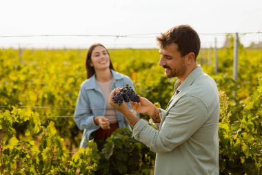 Sıcak öğleden sonra güneşinin altında, bir üzüm bağında birkaç gezinti. Huzurlu bir manzarada toplanan üzümlere hayran oldukları bir anı neşeyle paylaşıyorlar.