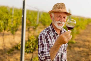 Bekçi elinde koyu kırmızı bir şarap kadehi tutarken, batan güneşin yumuşak parıltısıyla aydınlanan asma sıralarının arasında gülümsüyor.