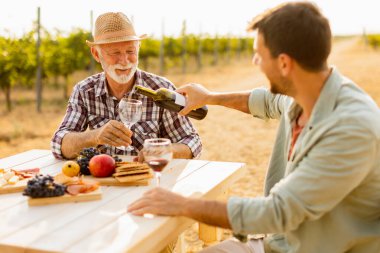 Resimli bir üzüm bağında, iki arkadaş güneşli bir öğleden sonranın tadını çıkarırlar, şarap dökerler ve keyifli sohbetin tadını çıkarırlar..