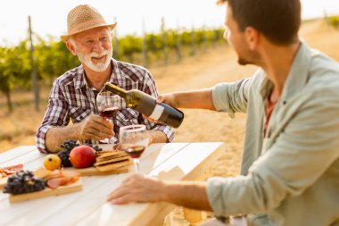 Resimli bir üzüm bağında, iki arkadaş güneşli bir öğleden sonranın tadını çıkarırlar, şarap dökerler ve keyifli sohbetin tadını çıkarırlar.