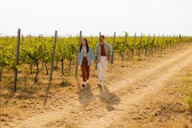 Neşeli çift, canlı üzüm bağları ve altın toprakla çerçevelenmiş, sıcak güneşin altında gülüşlerini ve kucaklaşmalarını paylaşıyor.