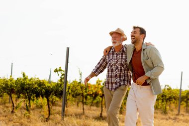 Güneşli bir üzüm bağında tozlu bir yolda yürürken, iki adam açık yürekli bir sohbete girişir, dostlukları, yayılan üzümlerin arka planına karşı aşikardır.