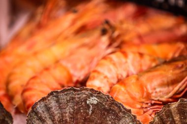 Canlı renkli kırmızı karidesler diğer deniz ürünleri arasında cazip bir şekilde sergileniyor, tazeliklerini sergiliyorlar ve lezzetli yemekler için aç müşterileri cezbediyorlar.