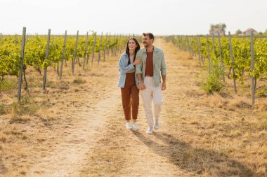 Birlikte yürürken, çift sıcak bir öğleden sonra açık bir gökyüzünün altında sıralanmış yeşil asmalarla çevrili üzüm bağlarının huzurunun tadını çıkarıyor.