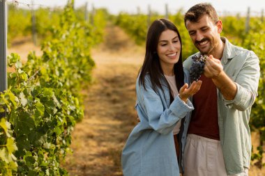 Sıcak öğleden sonra güneşinin altında, bir üzüm bağında birkaç gezinti. Huzurlu bir manzarada toplanan üzümlere hayran oldukları bir anı neşeyle paylaşıyorlar.