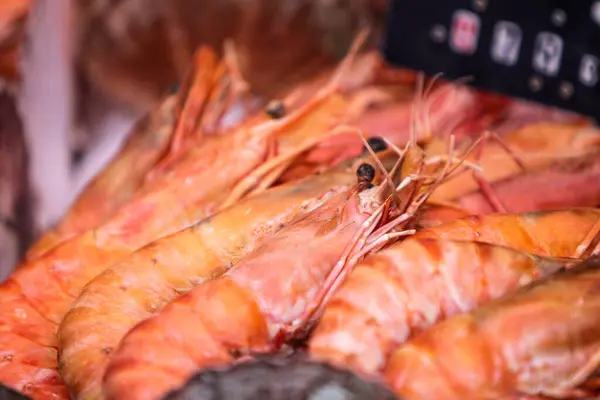 stock image Vibrantly colored red shrimps are displayed enticingly among other seafood, showcasing their freshness and attracting customers hungry for delicious meals