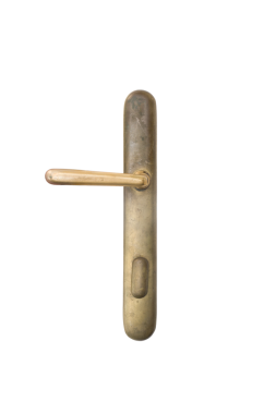 Ziller beyazda izole edildi