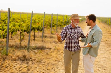 Güneşli bir üzüm bağında tozlu bir yolda yürürken, iki adam açık yürekli bir sohbete girişir, dostlukları, yayılan üzümlerin arka planına karşı aşikardır.