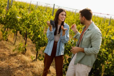 Sıcak öğleden sonra güneşinin altında, bir üzüm bağında birkaç gezinti. Huzurlu bir manzarada toplanan üzümlere hayran oldukları bir anı neşeyle paylaşıyorlar.