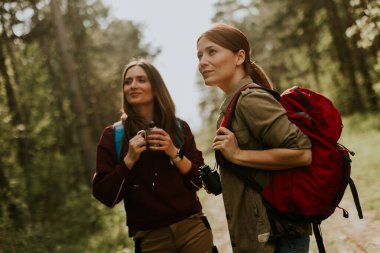 Bereketli yeşilliklerin ortasında, iki arkadaş, sakin bir yürüyüşte ağaçların arasından süzülen güneş ışığıyla çevrili kameraları tutarken doğaya hayran olmak için dururlar..