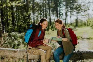 İki kadın, hayat dolu bir ormanda içkilerini ve kahkahalarını paylaşarak düşmüş bir kütüğe uzanır..