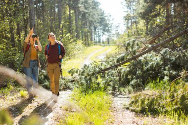 İki yürüyüşçü, güneş ışığında düşen dalların etrafında gezinirken dürbünle vahşi yaşamı gözlemleyerek orman manzarasının tadını çıkarırlar..