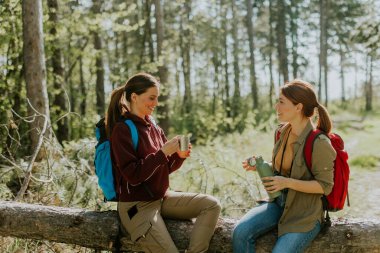 İki arkadaş kahkahaları ve ılık içecekleri paylaşır. Etrafı canlı yeşil ağaçlarla çevriliyken düşmüş bir kütüğün üzerinde otururlar..