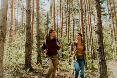 İki arkadaş canlı bir çam ormanında canlı bir yürüyüşün tadını çıkarıyorlar, kahkahalarla gülüyorlar ve doğanın güzelliğini kucaklarken anılar yaratıyorlar..