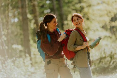 İki arkadaş, uzun ağaçlar ve güneş ışınlarıyla çevrili yeşil bir ormanda açık hava keşiflerinin özünü yakalayan neşeli bir yürüyüşün tadını çıkarıyorlar..