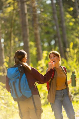 İki arkadaş, güneşli bir günde canlı bir ormanda yürürken doğanın güzelliğini paylaşıyor ve kucaklıyor..