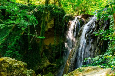 Nefes kesici bir şelale, canlı yeşillikler ve güneş lekeli ağaçlarla çevrili sakin bir havuza zarifçe akar. Doğanın güzelliği huzurlu bir ormanda sergilenir..