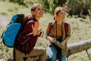 Arkadaşlar güneşli bir yürüyüş sırasında gülüşlerini ve hikayelerini paylaşırlar, sakin bir ormanda mola verirken doğanın güzelliğine dalarlar..