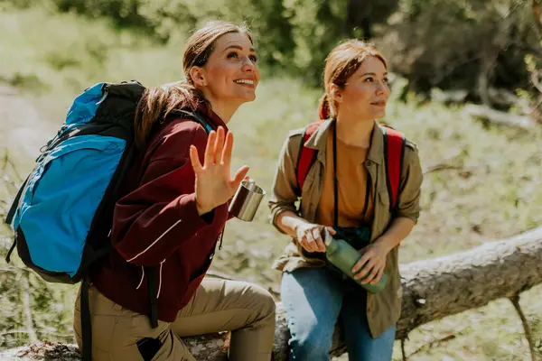 Arkadaşlar güneşli bir yürüyüş sırasında gülüşlerini ve hikayelerini paylaşırlar, sakin bir ormanda mola verirken doğanın güzelliğine dalarlar..