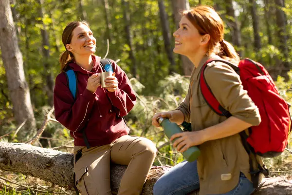 İki kadın, sıcak bir öğleden sonra ışığında yemyeşil orman patikalarını keşfederken, içkiyle ferahlatıcı bir şekilde düşmüş bir kütüğe neşeli bir ara verir..