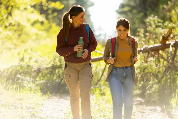 Arkadaşlar, yemyeşil ağaçlar ve parlak güneş ışığıyla çevrili bir orman patikasında yan yana yürürler, kahkahalar ve sohbetler paylaşırlar..