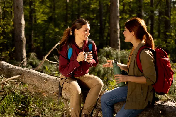 Arkadaşlar, güzel bir günde, yemyeşil bir ormandaki bir kütükte otururken kahkahalar ve hikayeler paylaşırlar..