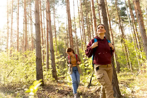 İki arkadaş, yemyeşil ormanlarda gezer, güneşli ve canlı yeşillikleri kucaklayarak keyifli bir açık hava macerasına çıkar..