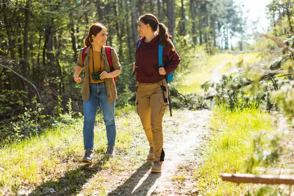 İki kadın, uzun ağaçlar ve yaprakların arasından süzülen benekli güneş ışığı ile çevrili gür bir orman patikası boyunca yürürken kahkahalarını paylaşıyor..