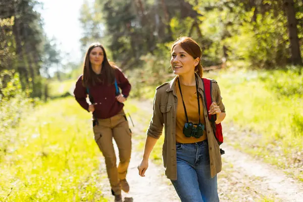İki arkadaş yemyeşil bir orman yolunda yürüyor, gülüşlerini paylaşıyor ve güneşli günün sıcaklığının tadını çıkarıyorlar..