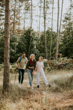 A family enjoys a leisurely hike in a serene forest setting, surrounded by tall trees and greenery. They share laughter and moments while exploring the trail.