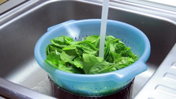 Current Clear Tap Water Falling Green Leaves Baby Spinach Plastic — Video