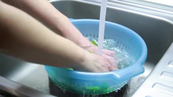 Current Clear Tap Water Falling Green Leaves Baby Spinach Plastic — Video