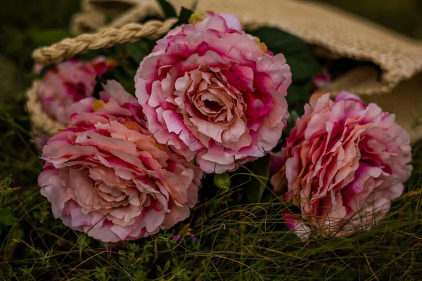 Nep Roze Bloemen Close Outdoor Graun — Stockfoto