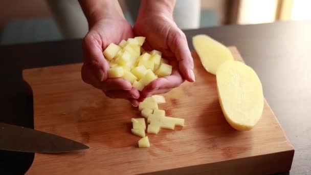 Mãos Mulher Que Preparam Base Para Uma Sopa Legumes — Vídeo de Stock