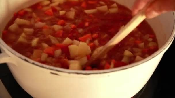 Karıştırılmış Sebze Çorbası Sıcak Bulaşık Yemeği — Stok video