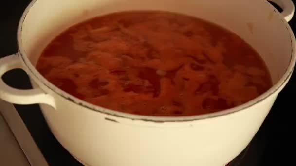 Zuppa Verdure Mescolante Pranzo Caldo Del Piatto — Video Stock