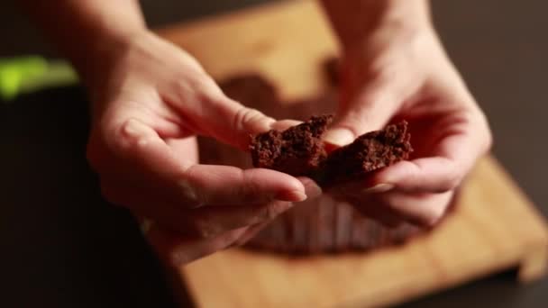 Primer Plano Chocolate Brownie Fudge — Vídeo de stock