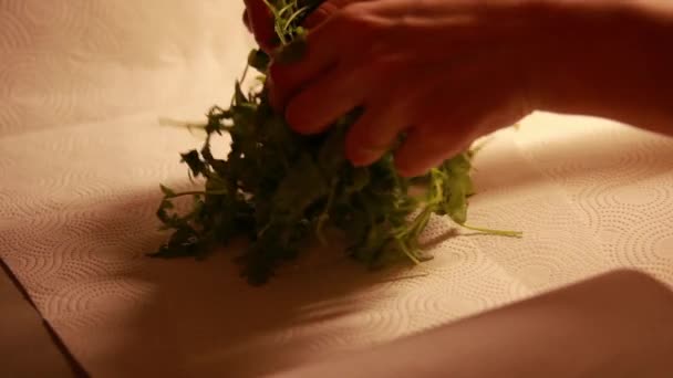 Rucola Séchage Main Femme Avec Papier Cuisine Fermer — Video