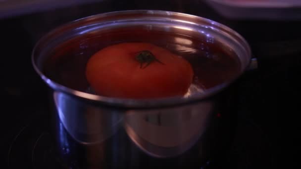 Blanquear Tomate Agua Hirviendo Cerca — Vídeo de stock