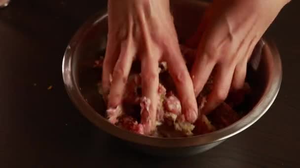 Mulher Mãos Fazendo Carne Picada Perto — Vídeo de Stock
