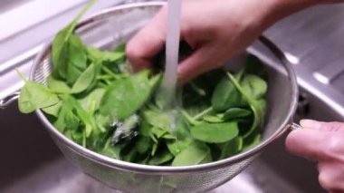 Kadın elleri bebek ıspanağını mutfak lavabosunda yıkıyor.