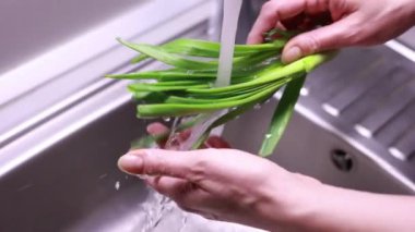 Kadın elleri mutfak lavabosunda bir demet yeşil soğan yıkıyor.